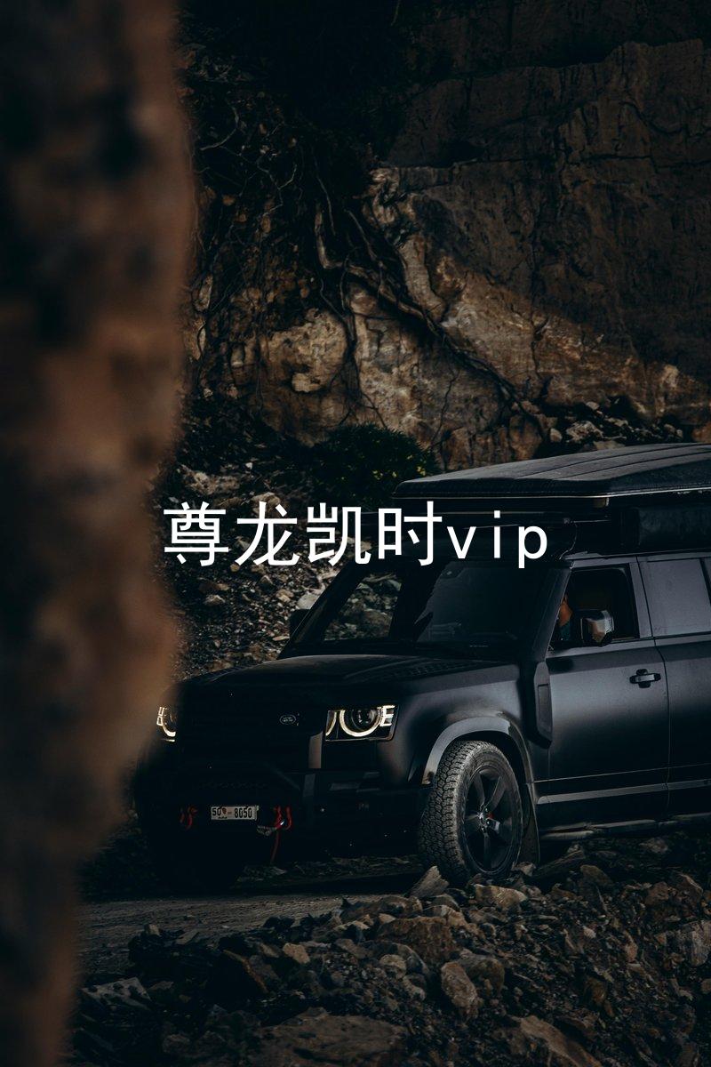尊龙凯时vip